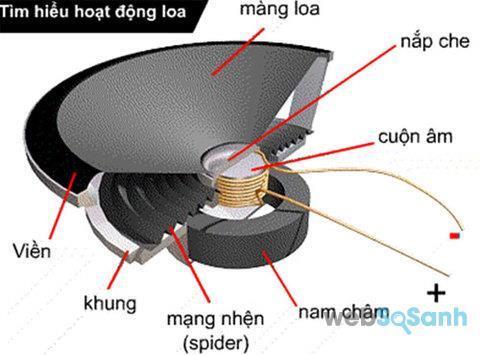 cấu tạo loa