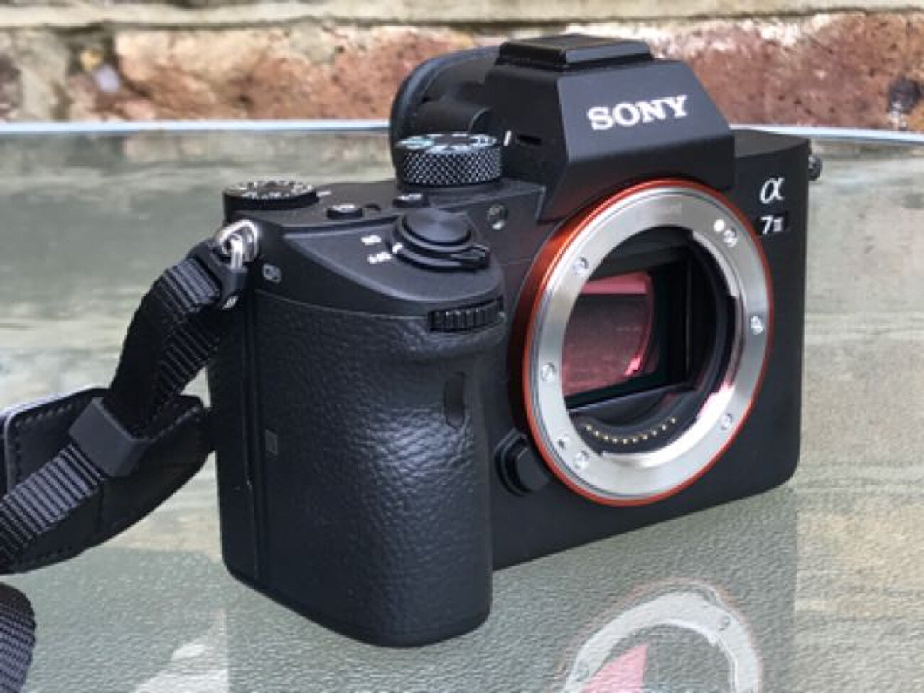 Hình ảnh chụp từ máy Sony A7 III có màu sắc sống động, chi tiết rõ ràng hơn Canon 5D Mark IV 