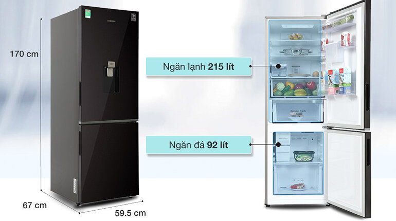 Tủ lạnh hai cánh Samsung ngăn đá dưới 307 lít RB30N4190BY