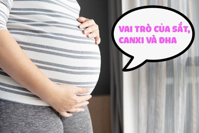 Cần bổ sung đầy đủ sắt, canxi và DHA cho bà bầu