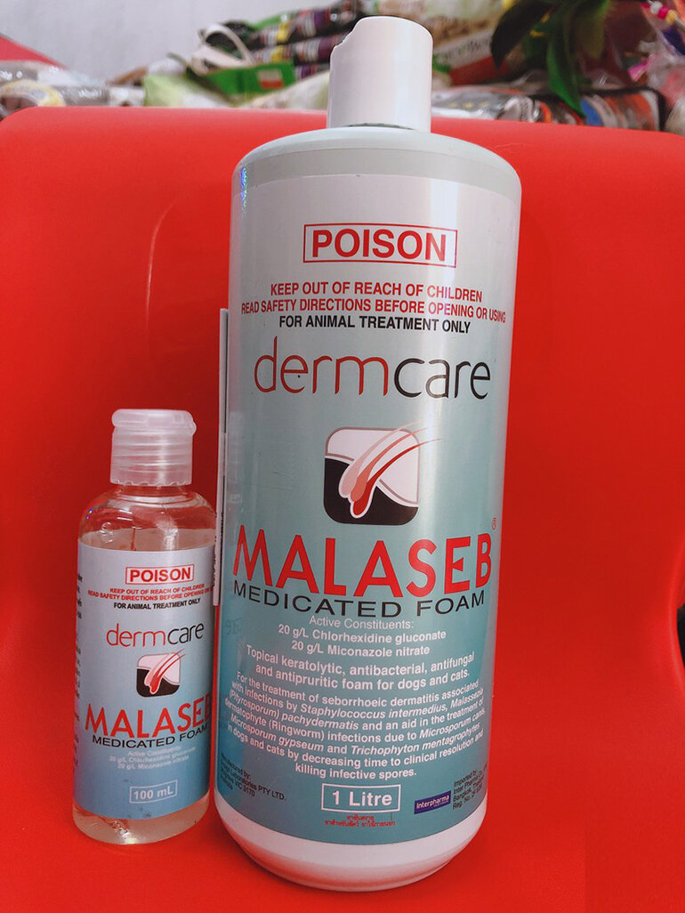 Malaseb anti-fungal and dermatitis shampoo for dogs and cats