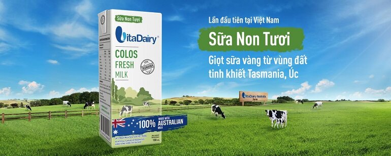 sữa non tươi Colos Fresh Milk