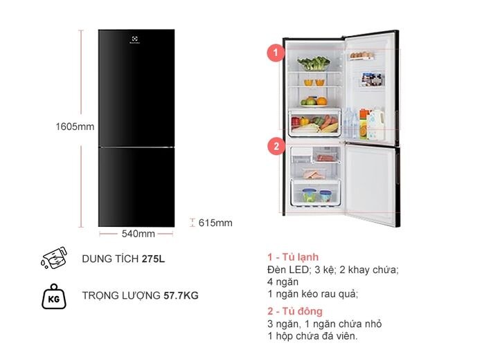 Công dụng và tính năng nổi bật trên tủ lạnh Electrolux 250l