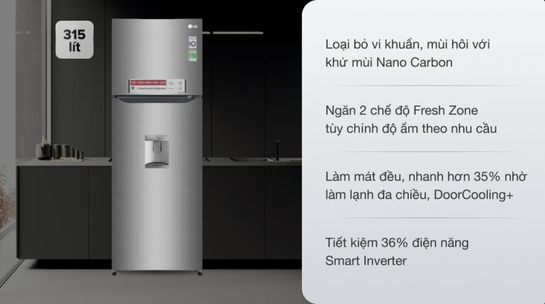Tủ lạnh LG Inverter 2 cánh GN-D315S 315 lít