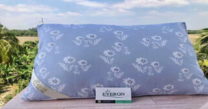 Khám phá 5 mẫu ruột gối Everon tốt và an toàn nhất cho sức khỏe