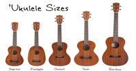 Khám phá những điều thú vị về cây đàn Ukulele thần thánh