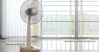 Kinh nghiệm chọn mua quạt cây mùa nóng