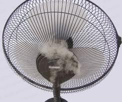 Kinh nghiệm chọn mua quạt phun sương