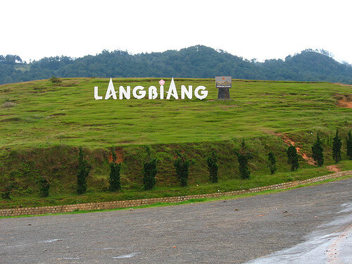 Kinh nghiệm du lịch Đà Lạt - thành phố ngàn hoa