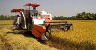 Kinh nghiệm mua máy gặt đập liên hợp cũ-mới tốt nhất để vụ lúa 2019, 2020 bội thu