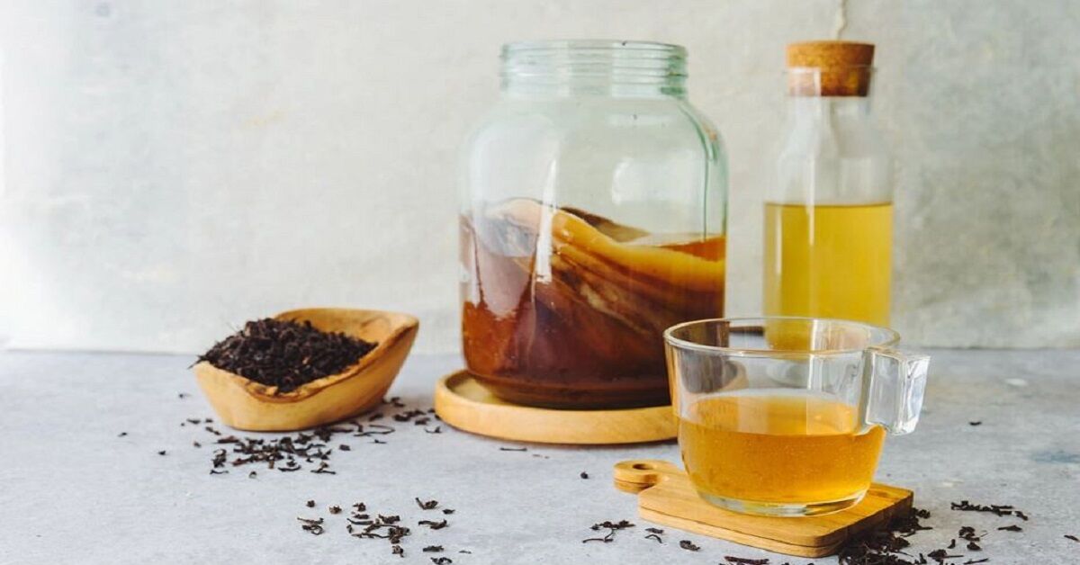 Kombucha là gì? Trà Kombucha có tác dụng gì? Cách làm và cách uống chi tiết