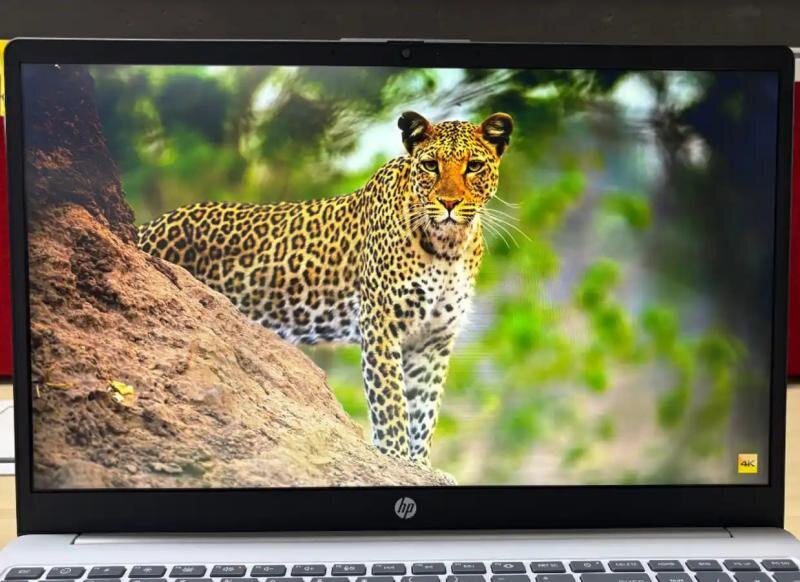 HP OmniBook 3: Lựa chọn thông minh để xử lý tác vụ hàng ngày