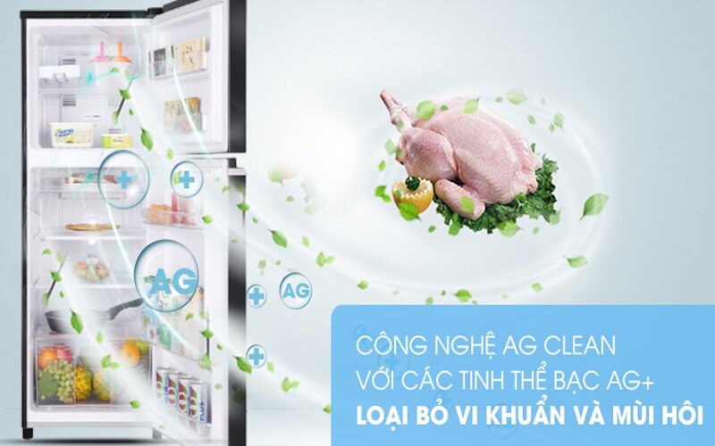 Tủ lạnh Panasonic Inverter 188 lít NR-BA229PKVN sự kết hợp hoàn hảo giữa thiết kế và công nghệ
