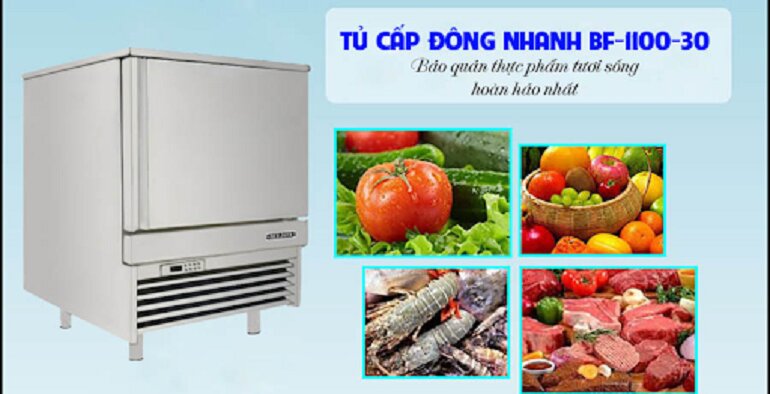 Nguyên lý cấp đông, cấu tạo và tính năng nổi bật của tủ đông Berjaya Bf-1100-30