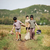 Lịch chiếu miễn phí 20 phim tranh giải Bông Sen Vàng từ ngày 18-24/11/2015