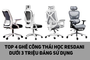 List 4 ghế công thái học Resdani giá rẻ từ 1 - 3 triệu đồng