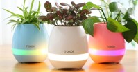 Loa chậu cây TOKQI – Thiết bị số độc đáo dành cho dân văn phòng