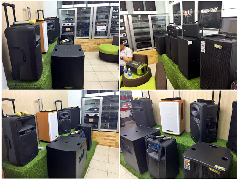 Loa Vali kéo di động hát Karaoke Temeisheng giá 1,950,000đ sốt hàng