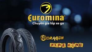 Lốp không săm Euromina cho xe máy giá rẻ nhất bao nhiêu tiền