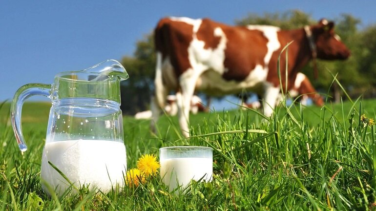 Sữa hữu cơ tốt cho sức khỏe