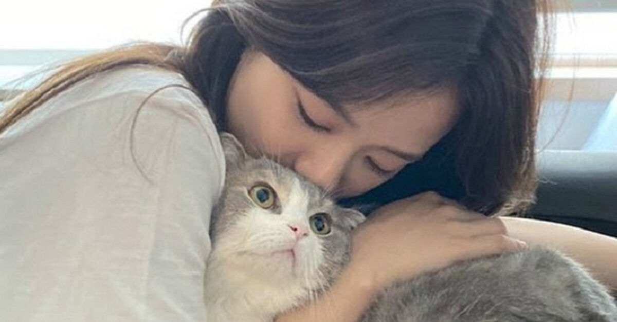 Lý do bạn nên mua sữa tắm cho mèo SOS ngay lập tức
