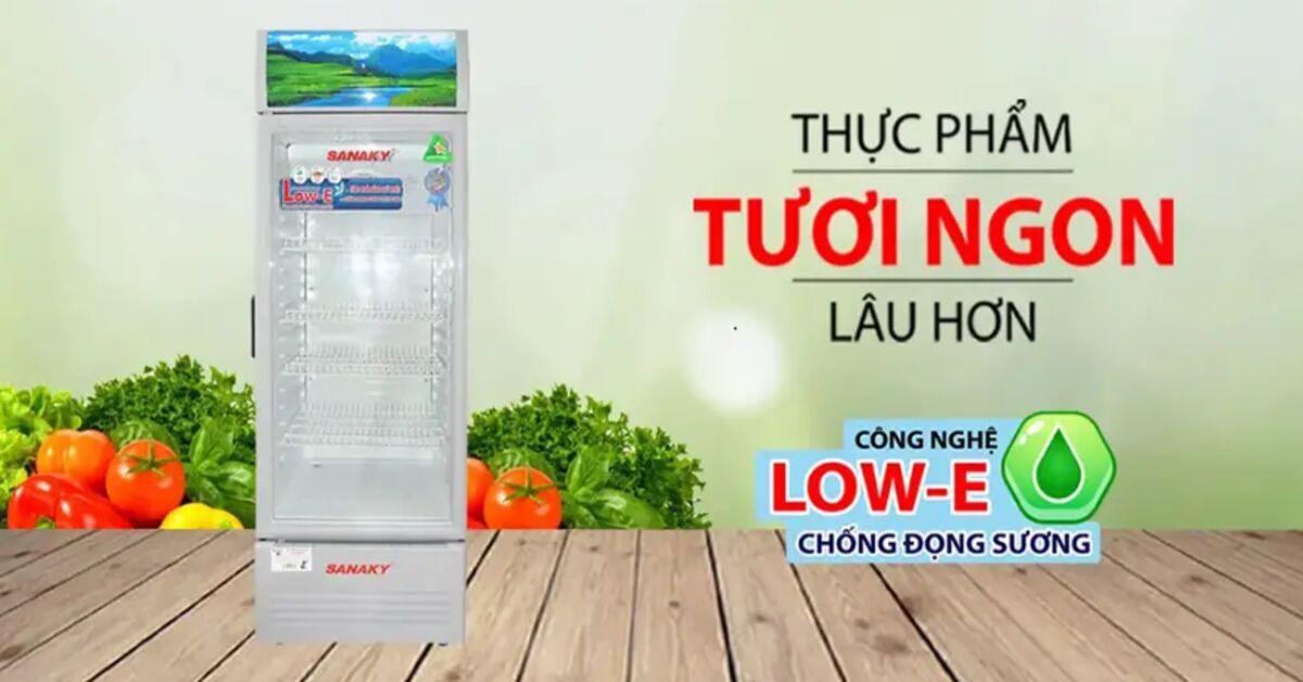Mách bạn cách bảo quản rau, củ, quả trong tủ mát Sanaky 1 cánh 240 lít VH-309KL