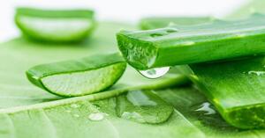 Mặt nạ nha đam có thực sự hiệu quả? Top 4 sản phẩm tốt nhất hiện nay