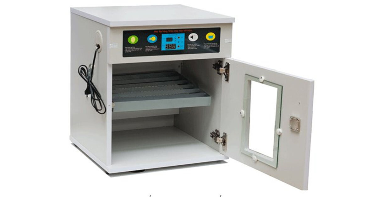 Máy ấp trứng gà mini giá bao nhiêu tiền? Có nên mua không?