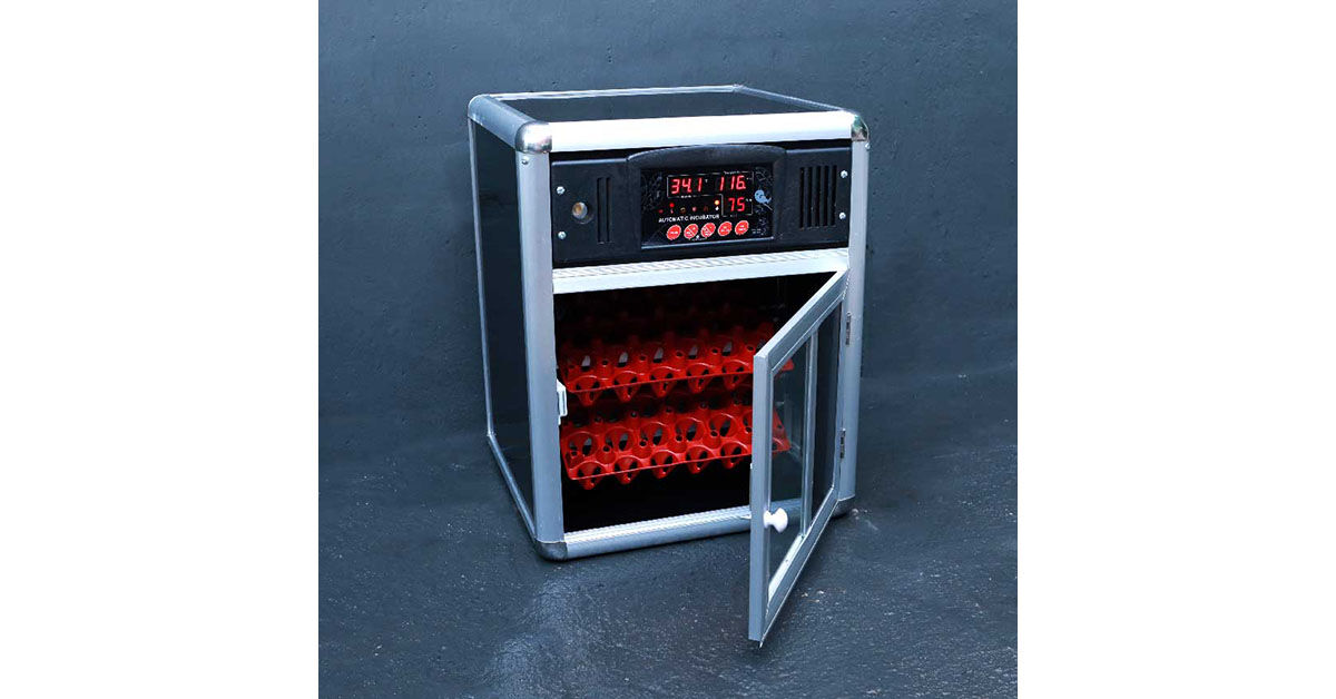 Máy ấp trứng gia cầm mini giá rẻ: Cẩn thận khi mua