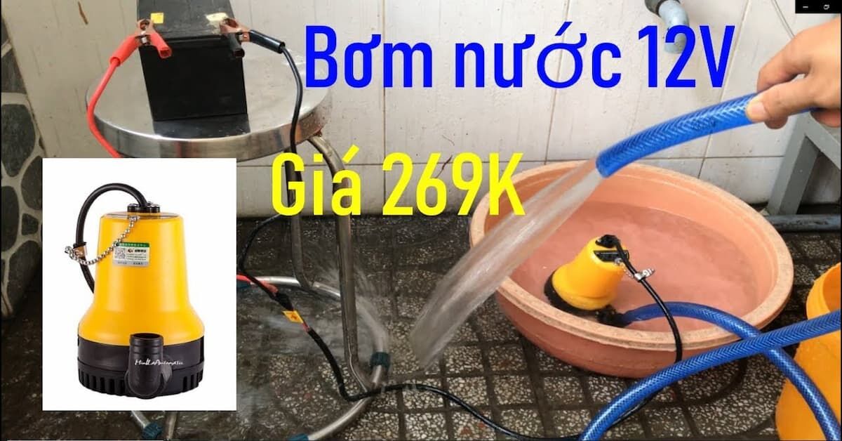Máy bơm nước mini dùng làm gì? Các loại máy bơm nước mini?
