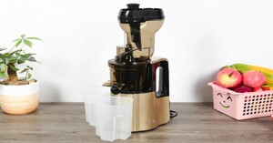 Máy ép chậm Ferroli FSJ-200m tạo ra công thức nước uống mát lạnh cho mùa hè