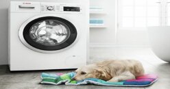 Máy giặt Bosch 9kg WGG244A0SG có gì nổi bật