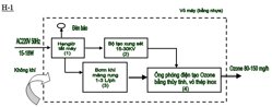 Máy khử độc rau củ quả bằng khí ozone và những điều cần biết