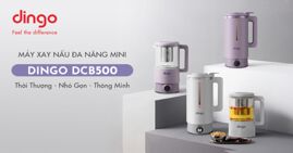 Máy làm sữa hạt Dingo DCB500 có đắt không?