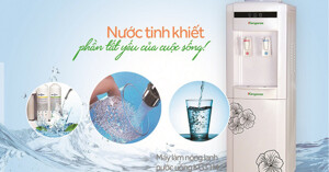 Máy nóng lạnh nào tốt nhất 2020: Kangaroo, Alaska, Panasonic, Karofi, Aqua