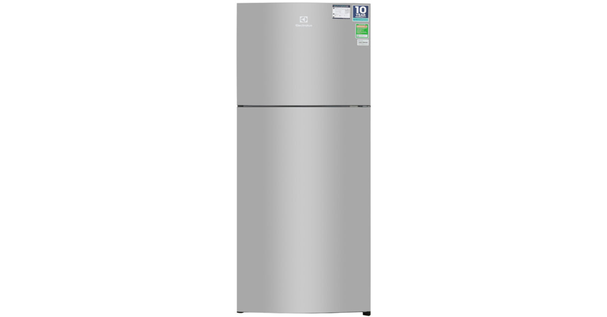 Mẹo vệ sinh tủ lạnh Electrolux ETB2802H-A 260 lít Inverter nhanh chóng, đúng cách