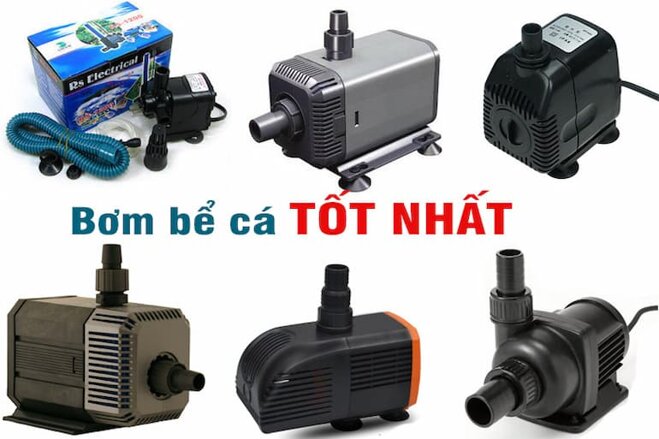 Máy bơm nước hồ cá rất cần thiết