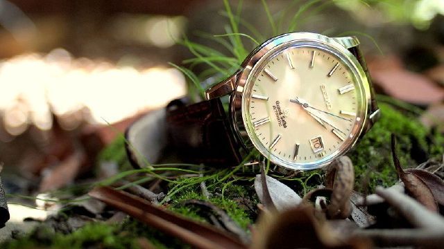 Mua đồng hồ Seiko chính hãng ở đâu tại Việt Nam