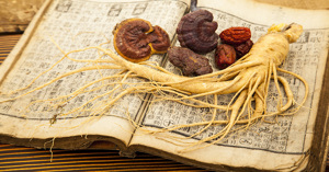 Mua sâm – nấm linh chi Hàn Quốc ở đâu uy tín tại Hà Nội