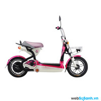 Mua xe máy điện hãng nào tốt nhất hiện nay?