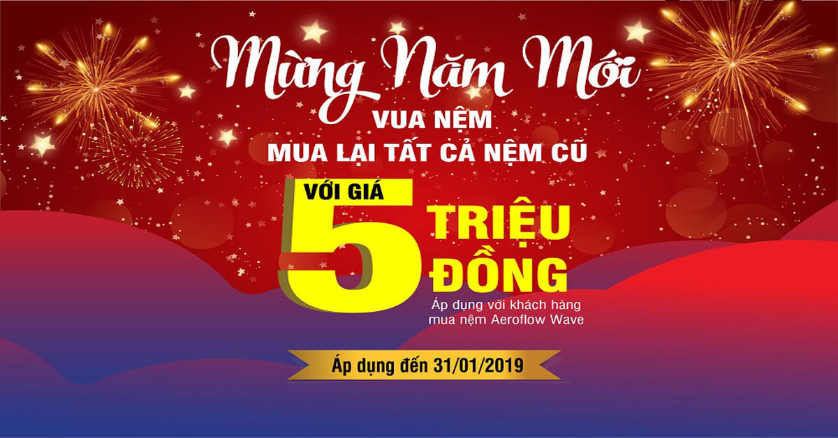 MỪNG NĂM MỚI 2019 VUA NỆM MUA LẠI TẤT CẢ NỆM CŨ VỚI GIÁ 5.000.000Đ