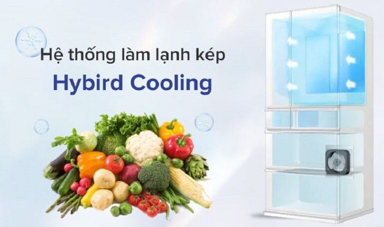 Tủ lạnh Sharp Inverter 563 lít SJ - SBX530V