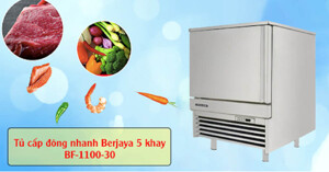 Nguyên lý cấp đông, cấu tạo và tính năng nổi bật của tủ đông Berjaya Bf-1100-30