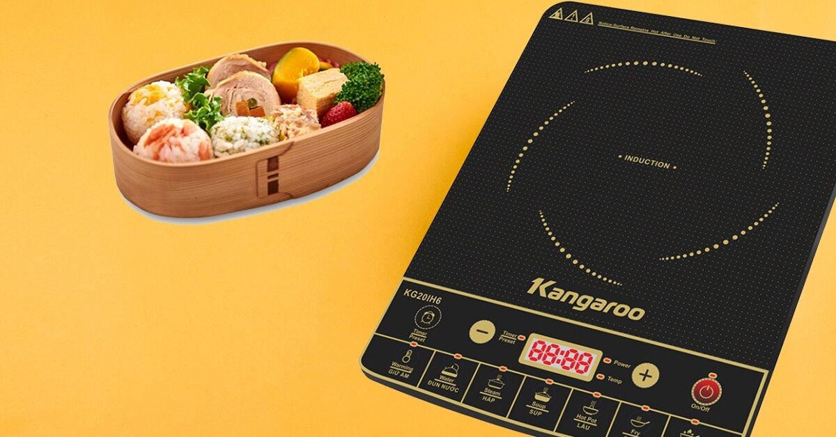 Những điều cần biết về bếp từ dương 1 vùng nấu Kangaroo KG20IH6