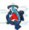 Những điều cần biết về máy bơm nước ly tâm