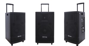 Những điều cần lưu ý khi chọn mua loa kéo di động