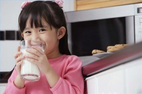 Những lí do nên chọn sữa bột Hipp 4 Combiotic cho bé trên 3 tuổi