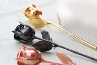 Những loại hoa hồng độc - lạ dịp 20/10 năm nay