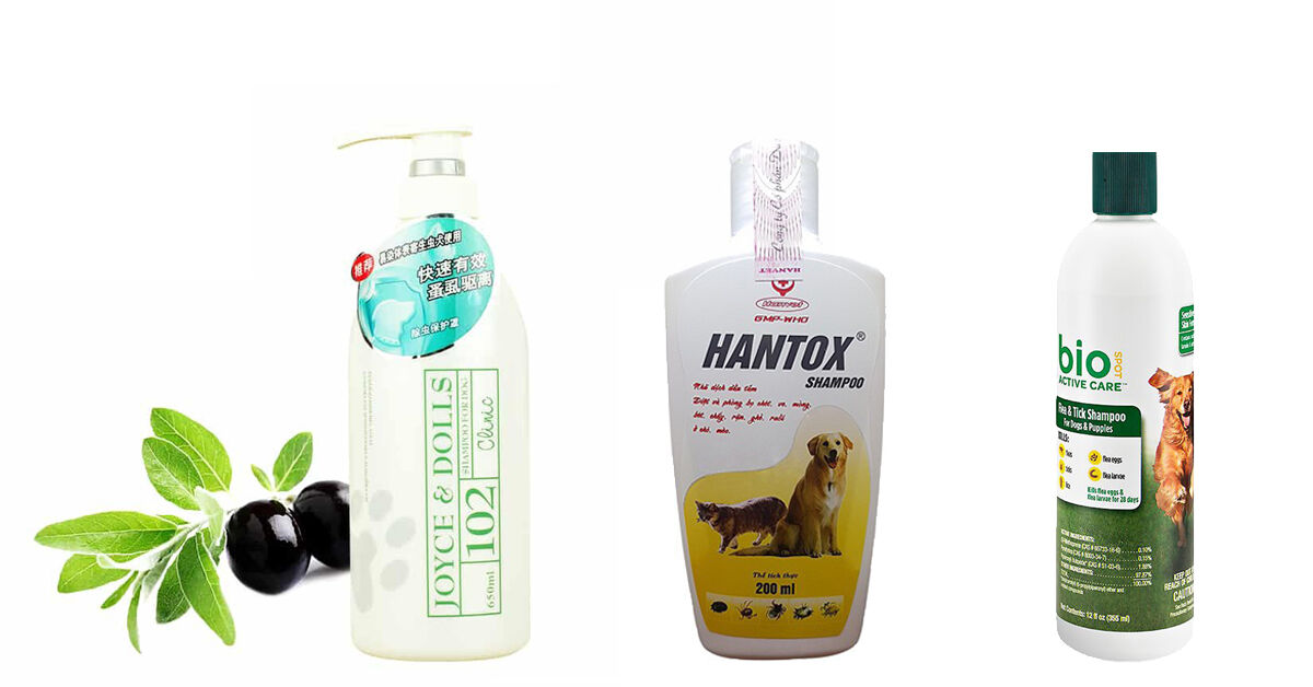 Những loại sữa tắm chống rận hiệu quả cho mèo