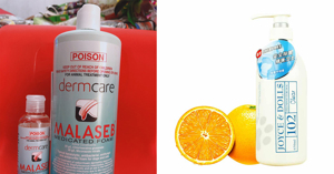 Những loại sữa tắm trị nấm cho chó mèo tốt nhất hiện nay